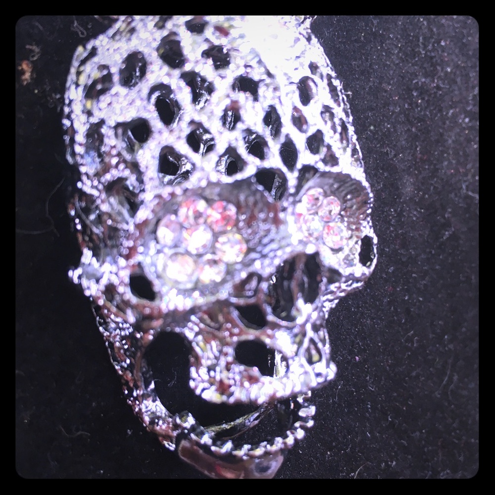 Black Silver Skull necklace